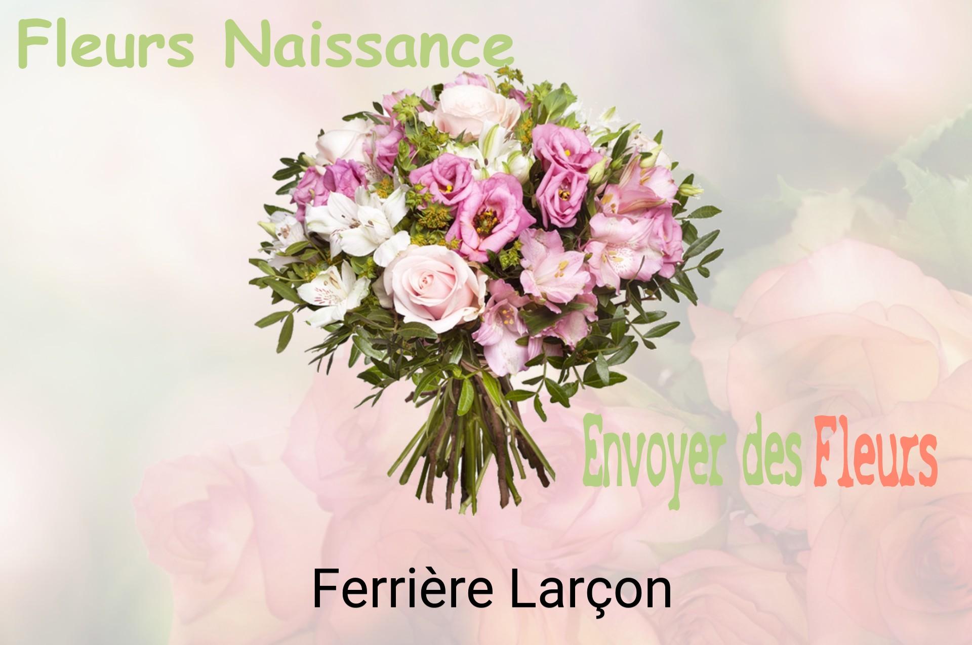 Bouquet de fleurs de naissance livré à Ferrière-Larçon